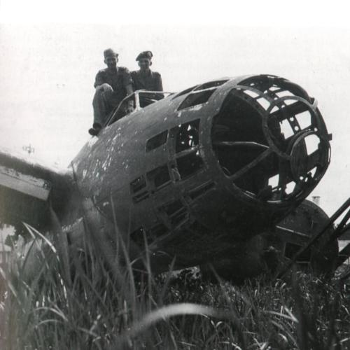 81A